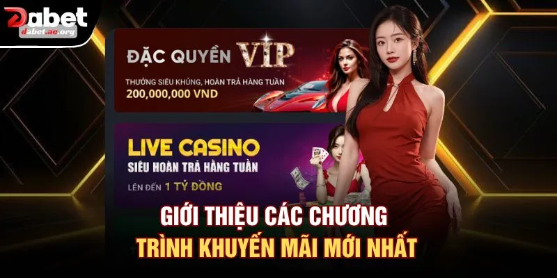 Giới thiệu các chương trình khuyến mãi mới nhất